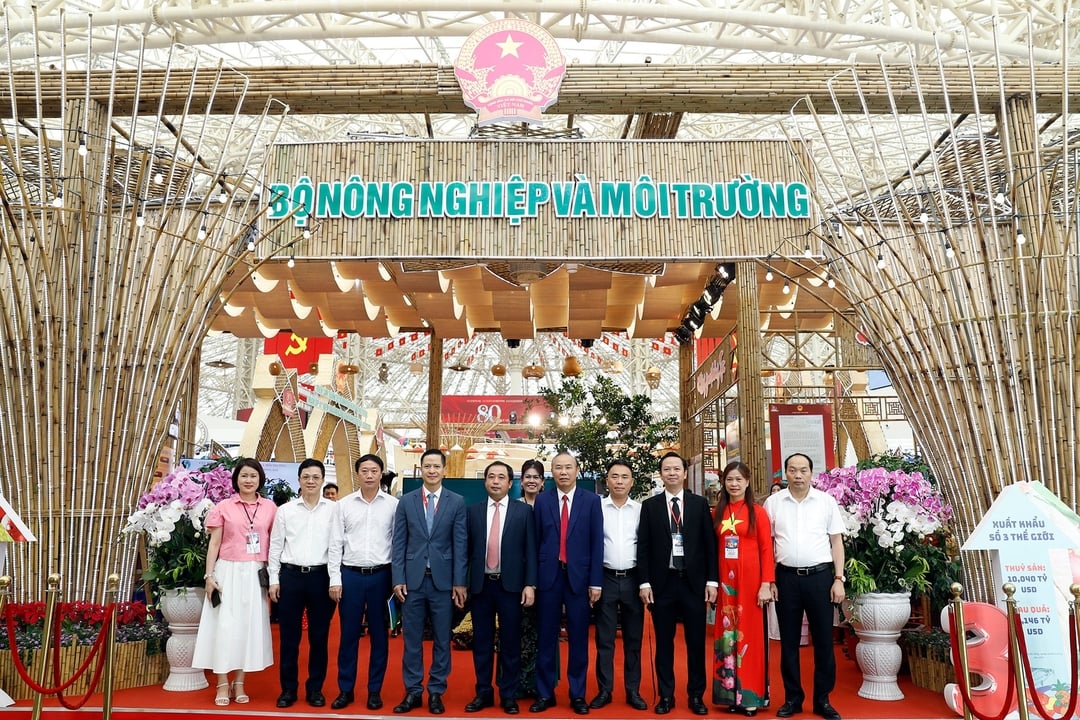 Quyền Bộ trưởng Trần Đức Thắng thăm gian trưng bày 80 năm thành tựu của ngành Nông nghiệp và Môi trường