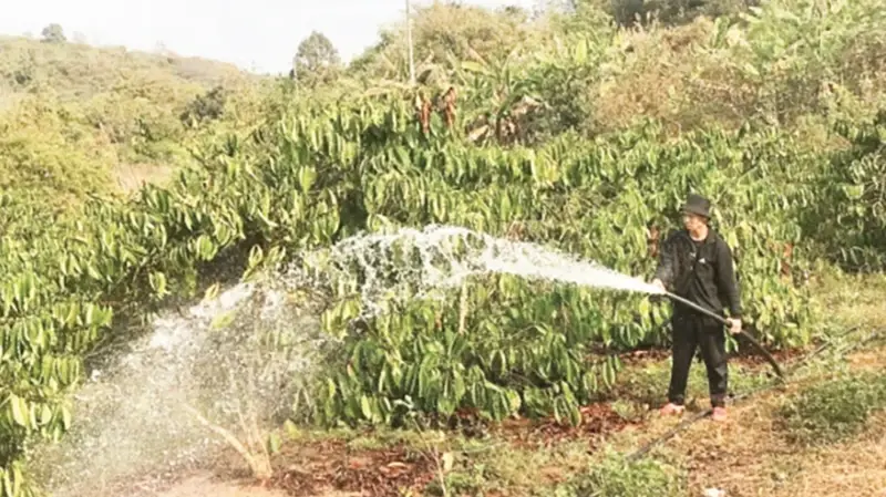 Dự báo hạn hán, thiếu nước dựa trên công nghệ viễn thám