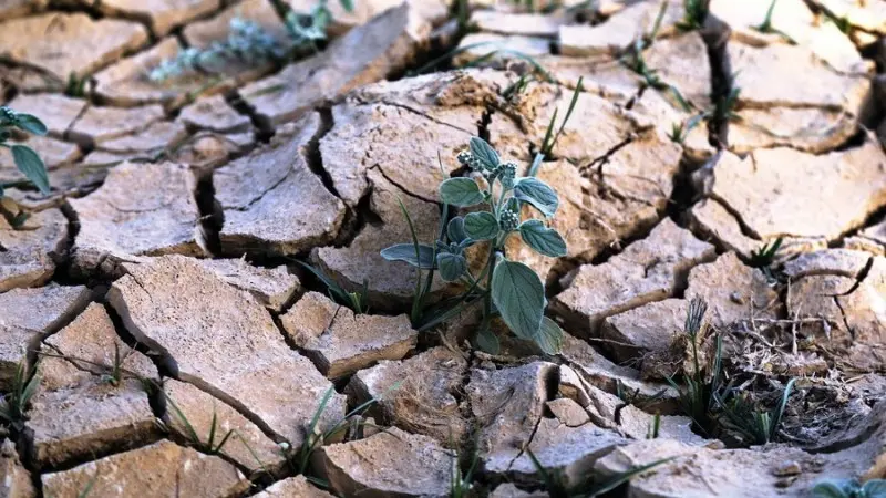 Khủng hoảng nguồn nước ở Trung Á