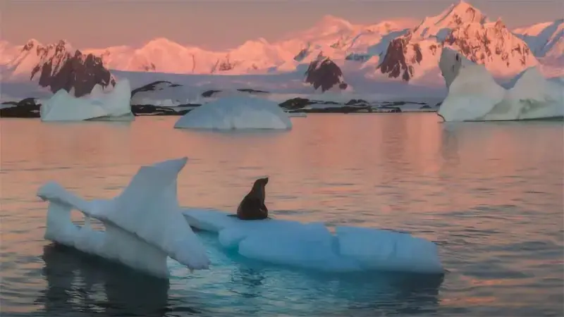 Bảo tồn sông băng - Hành động cấp bách vì an ninh nguồn nước