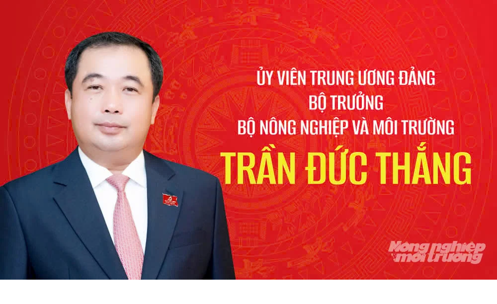 Bộ trưởng Trần Đức Thắng tái cử Ban Chấp hành Trung ương Đảng khoá XIV.