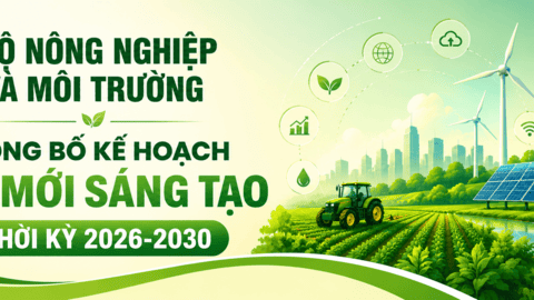 [Infographic] Bộ Nông nghiệp và Môi trường công bố kế hoạch đổi mới sáng tạo thời kỳ 2026-2030