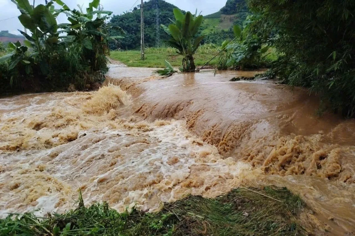 Bắc Bộ và Bắc Trung Bộ sắp đón đợt mưa lớn trong tuần tới