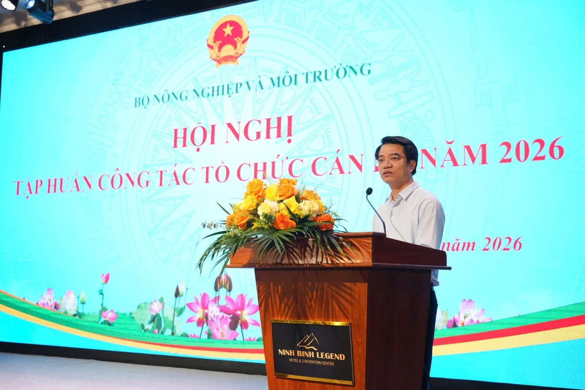 Công tác tổ chức cán bộ cần bám sát yêu cầu mới