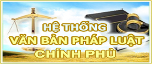 VAN BAN CHINH PHU
